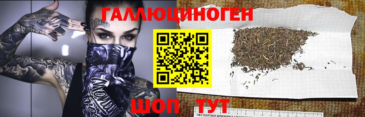 Лосино-Петровский  Галлюциногенные грибы GOLDEN TEACHER  Вход с VPN 