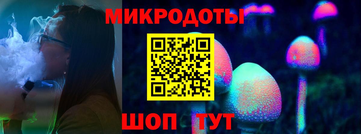 Галлюциногенные грибы Psilocybe Лосино-Петровский